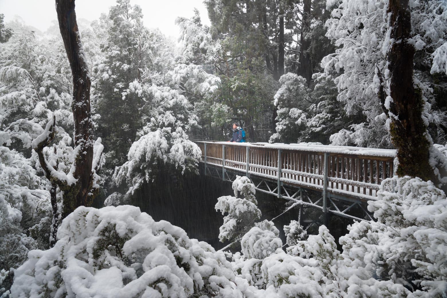 7 Best Places to See Snow in Tasmania | Snow joke!