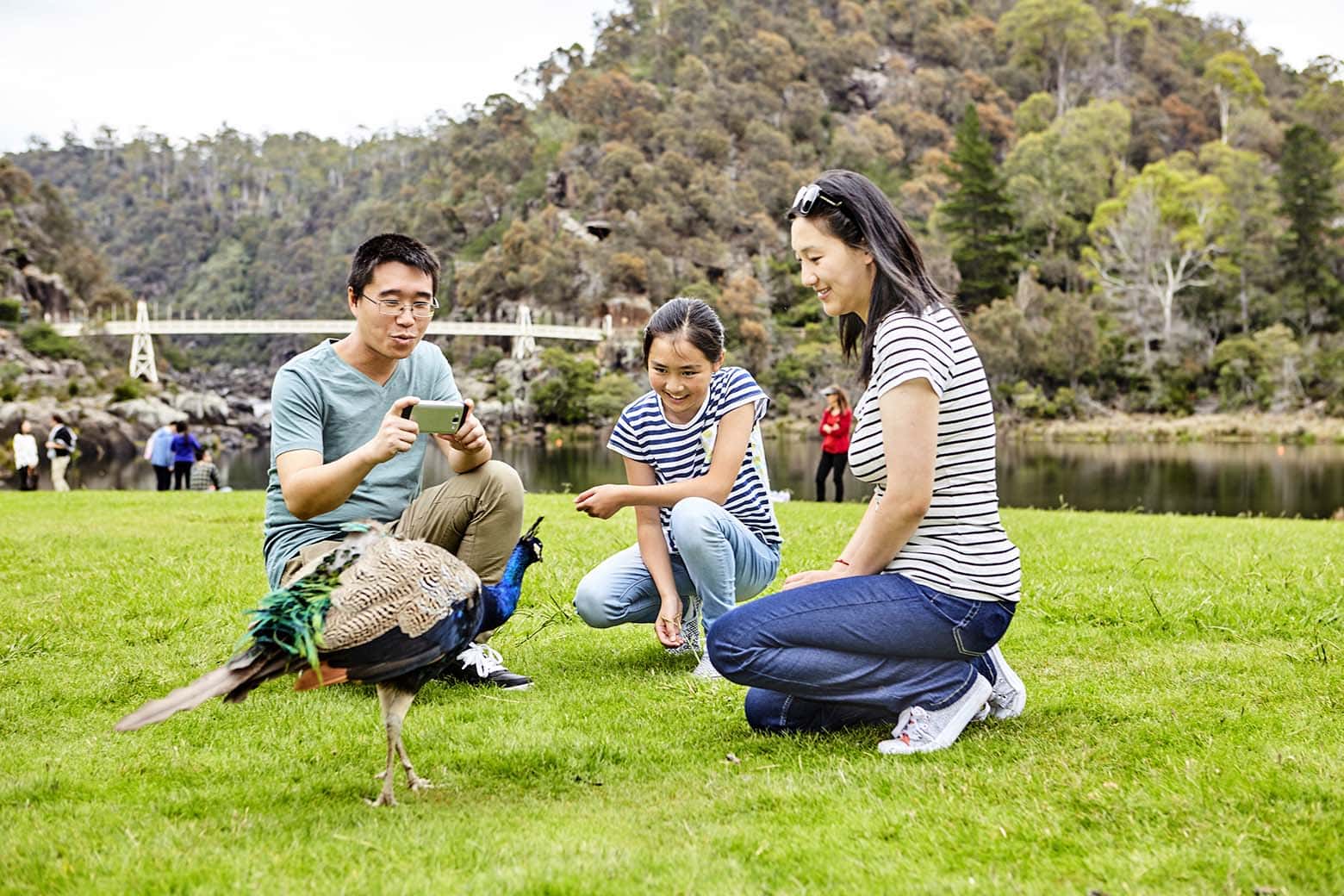 Relax on the grass at Cataract Gorge on your Lap of Tasmania road trip