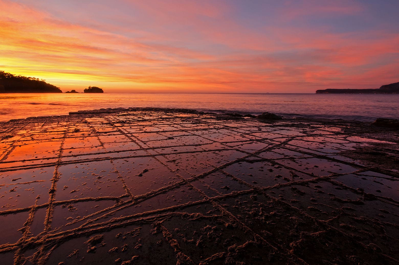 Tessellated Pavement