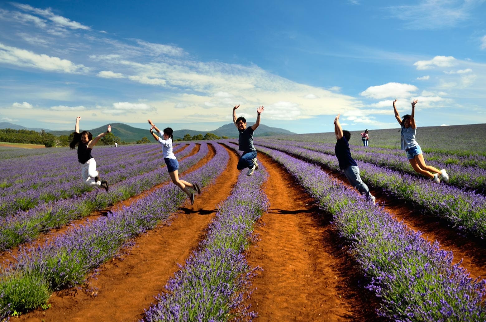 Bridestowe Estate - Tasmania itinerary (7 days)