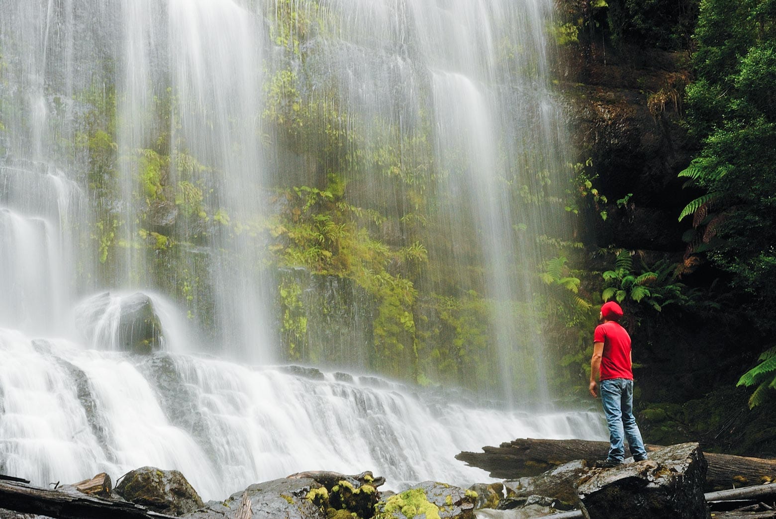 Russell Falls - Tasmania itinerary (7 days)