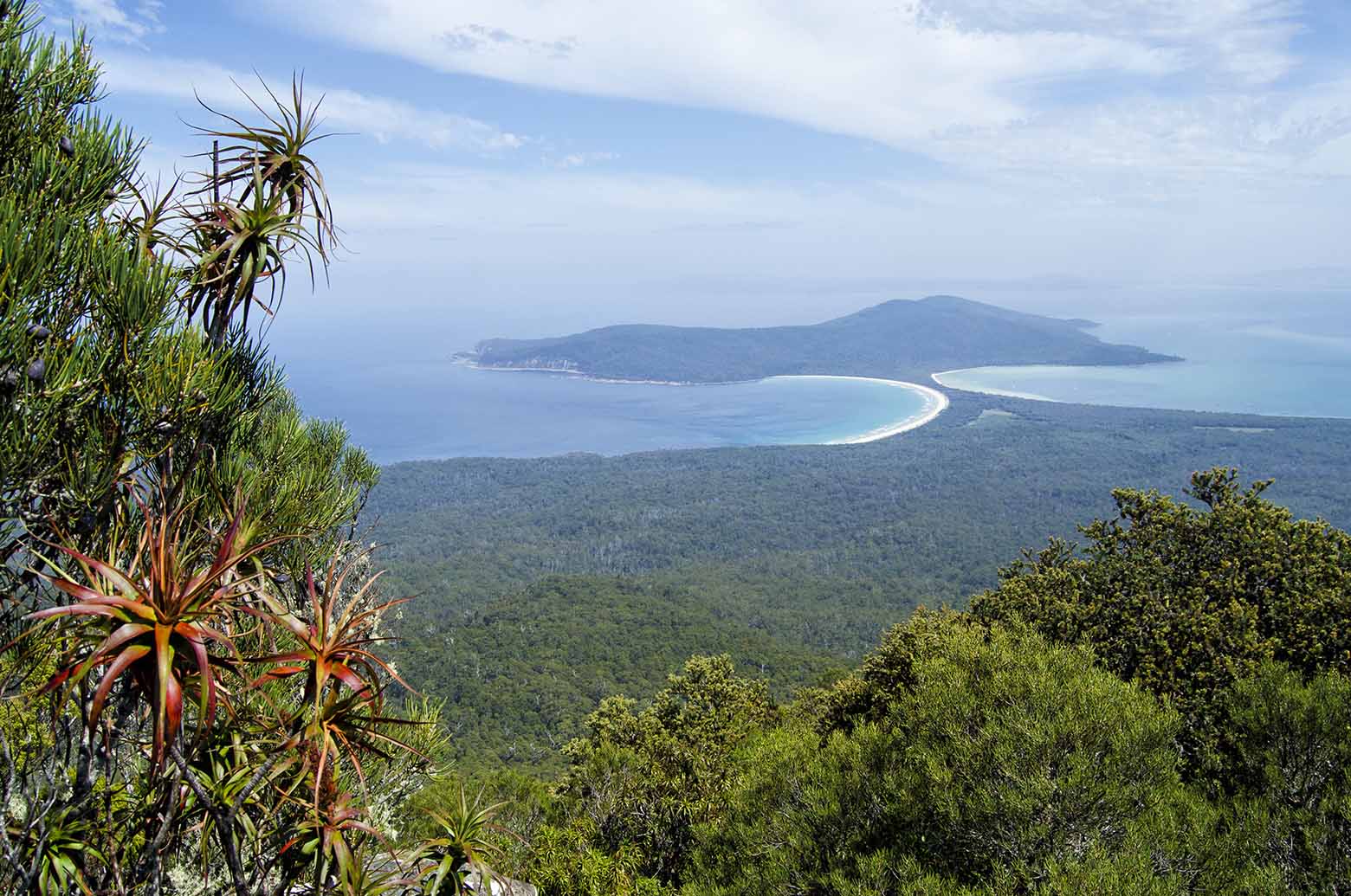 Sweeping views from Mt Maria on Maria Island
