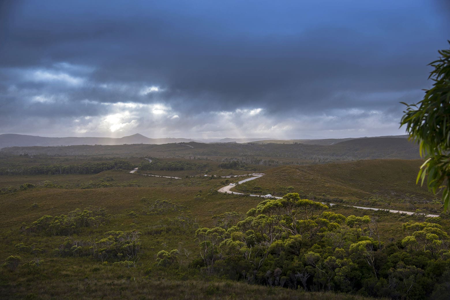 Driving into the Tarkine