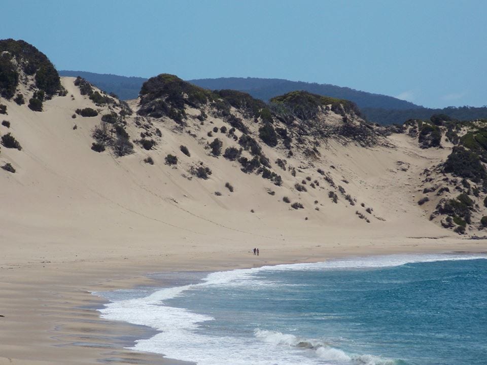 Crescent Bay Beach (Tasman Peninsula)