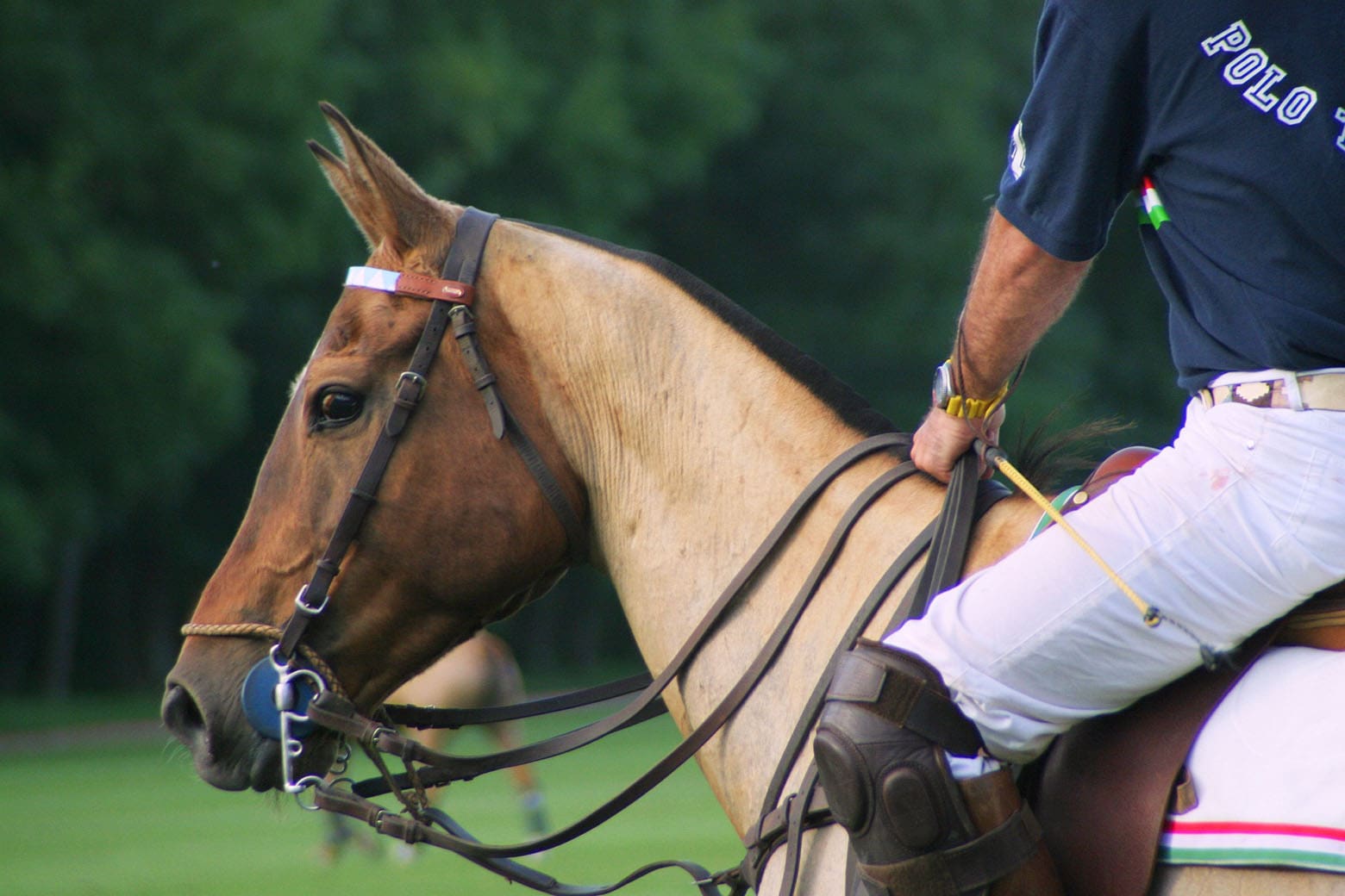 Barnbougle Polo