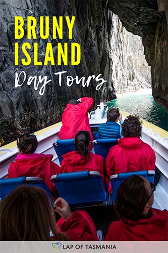 Bruny Island Day Tours from Hobart