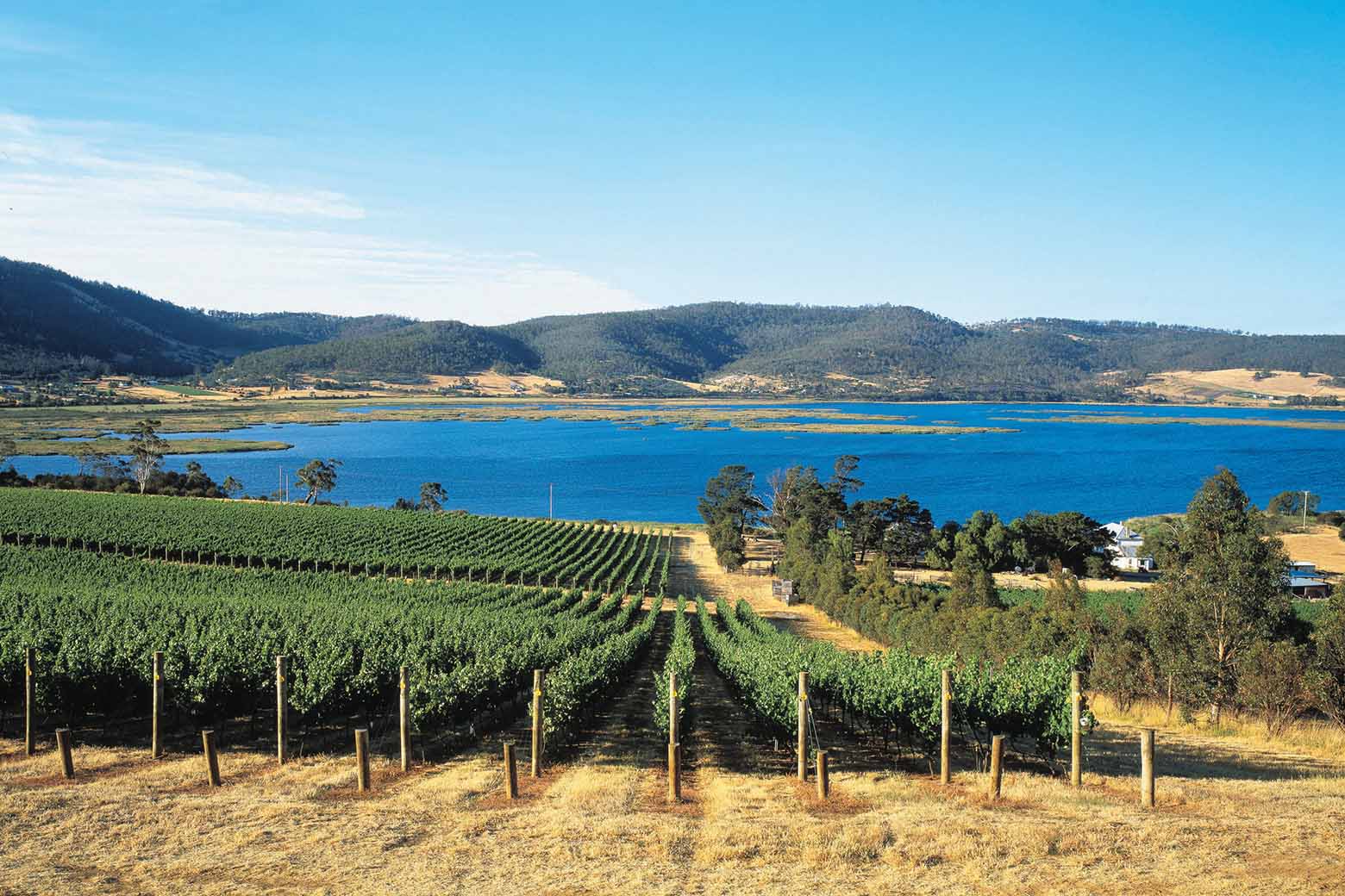 winery tours hobart tasmania