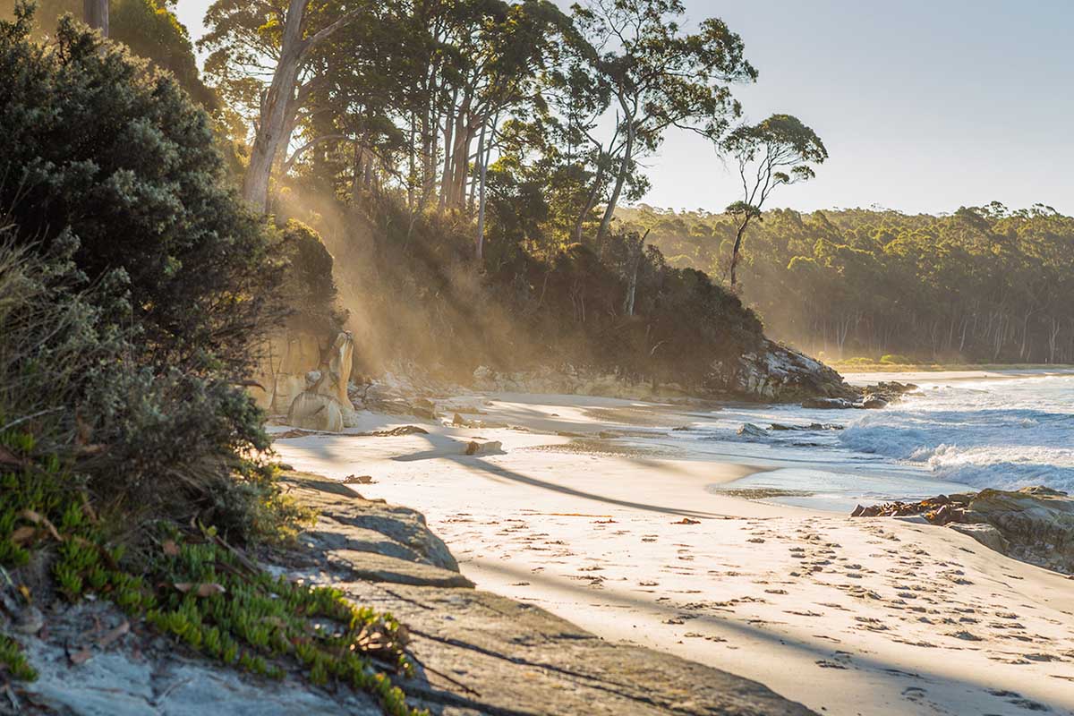 Gorgeous sandy beaches at Adventure Bay | Photo: Tassie Tours
