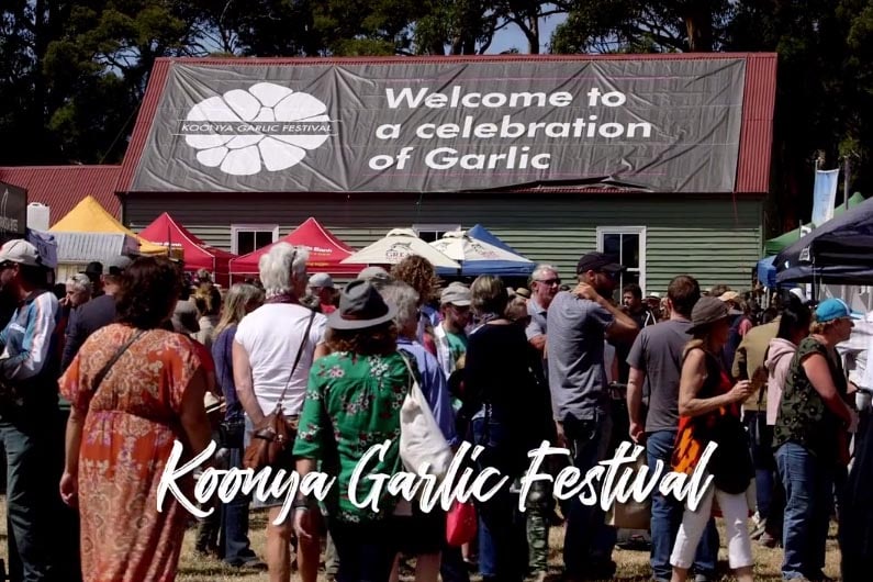 Port Arthur and Tasman Peninsula Road Trip Lap of Tasmania