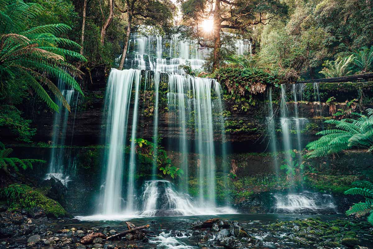 Russell Falls (Mt Field NP)