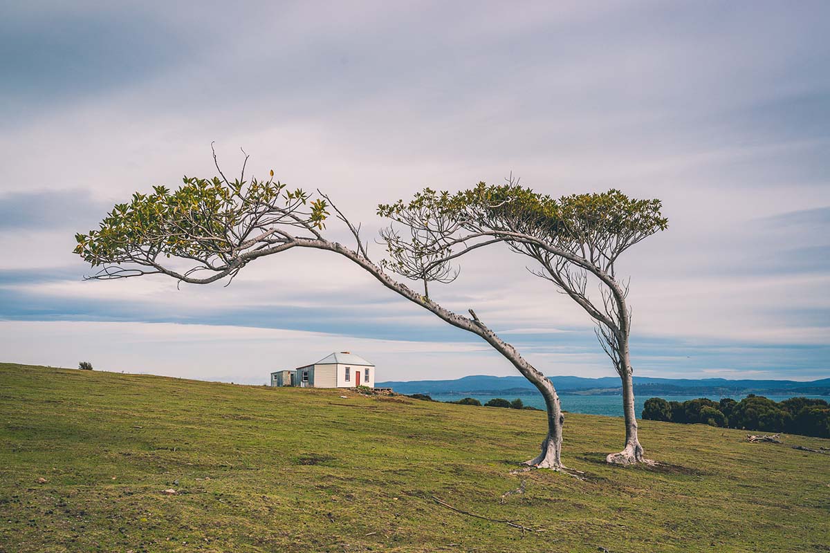 Maria Island
