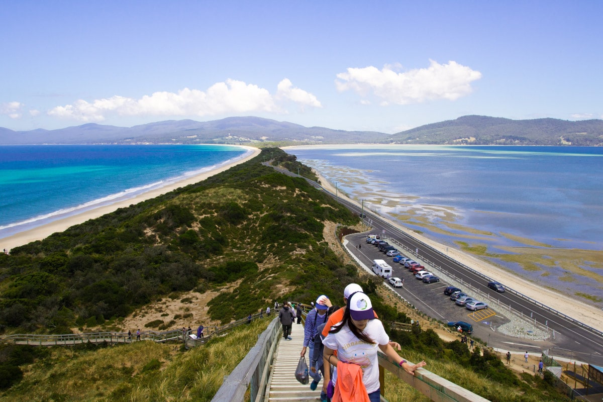 penguin tour bruny island