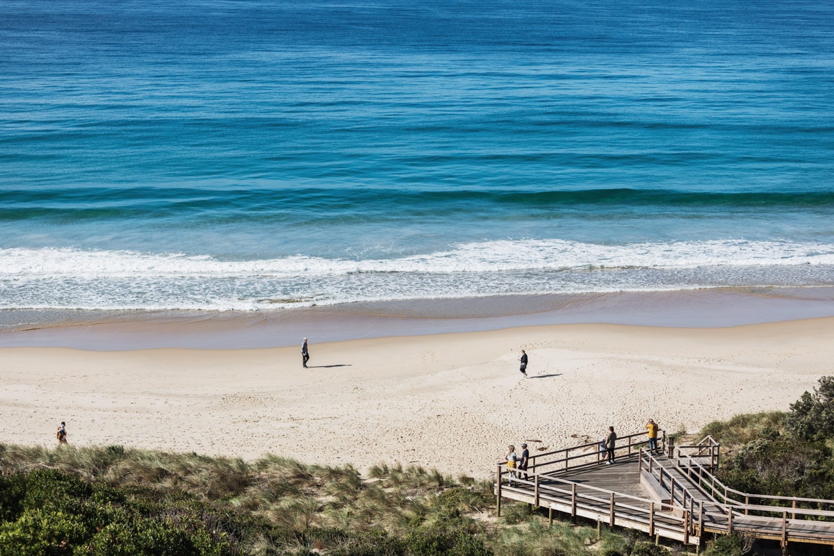 penguin tour bruny island