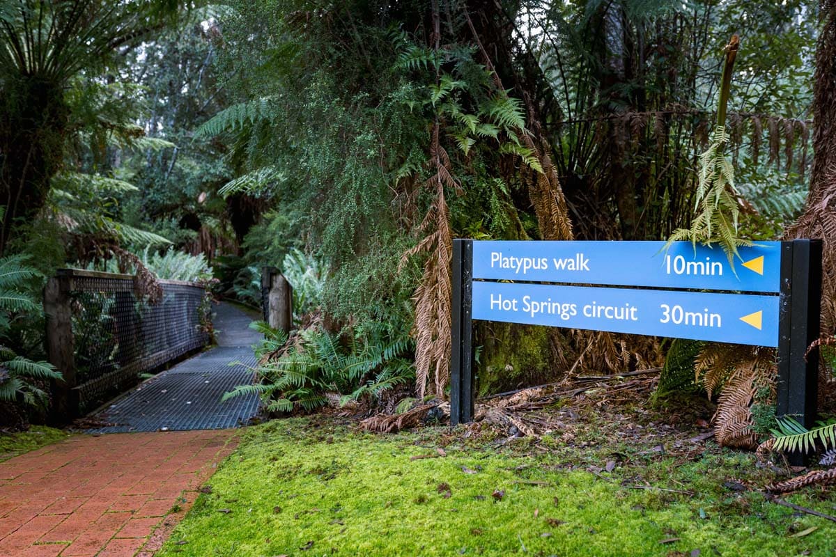 Hastings Caves and Thermal Springs