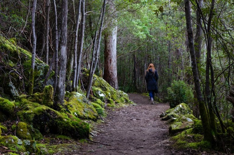 20 Best Short Walks in Tasmania
