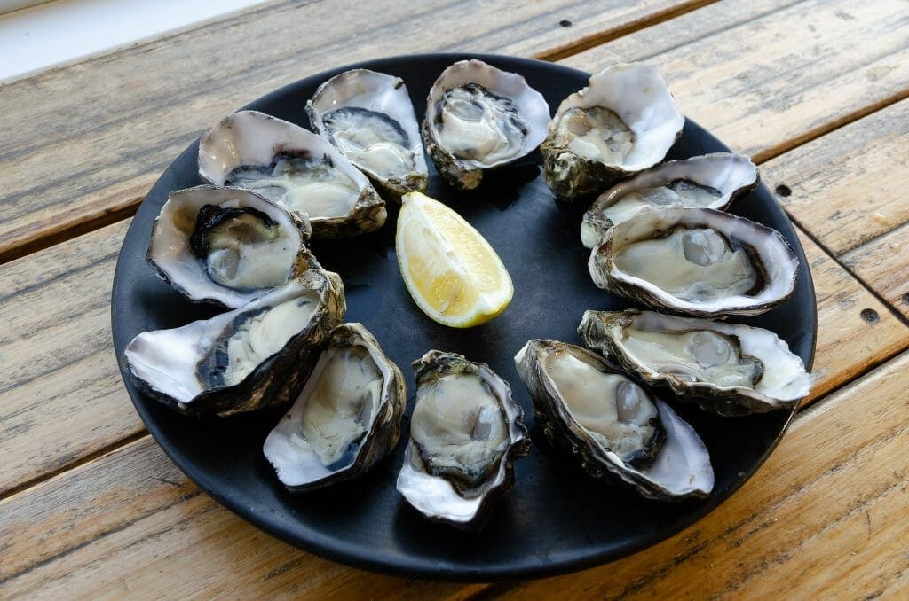 Oysters from Get Shucked - Bruny Island
