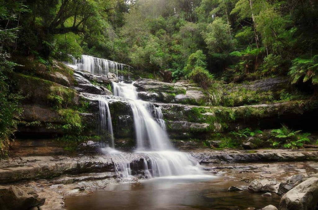 Tasmania Itinerary 21 Days – Tasmania’s Best Bed and Breakfast Trail – Liffey Falls