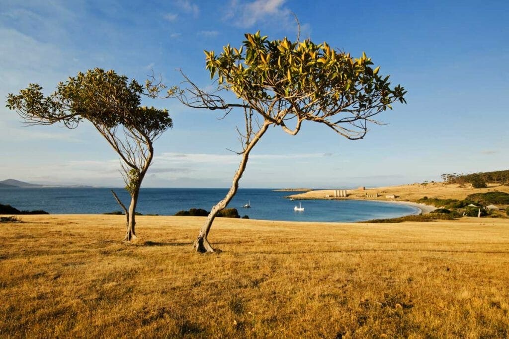 Tasmania Itinerary 21 Days – Tasmania’s Best Bed and Breakfast Trail – Maria Island