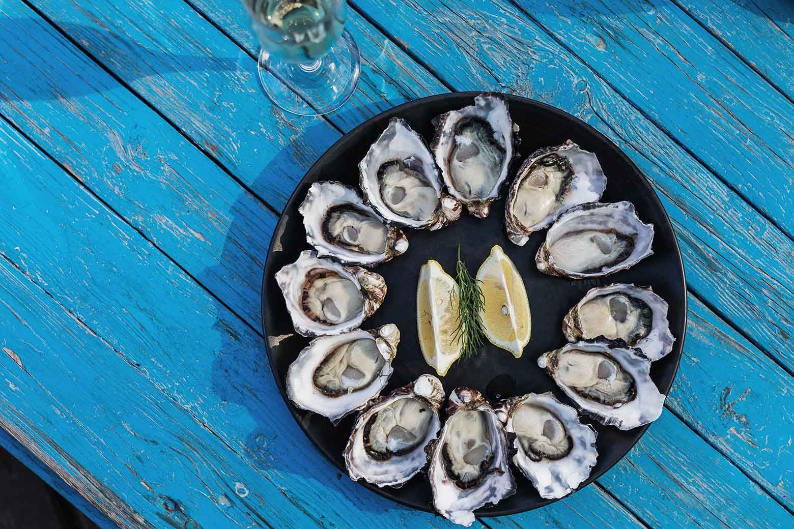 Taste a platter ofoysters on Bruny Island Tours from Hobart