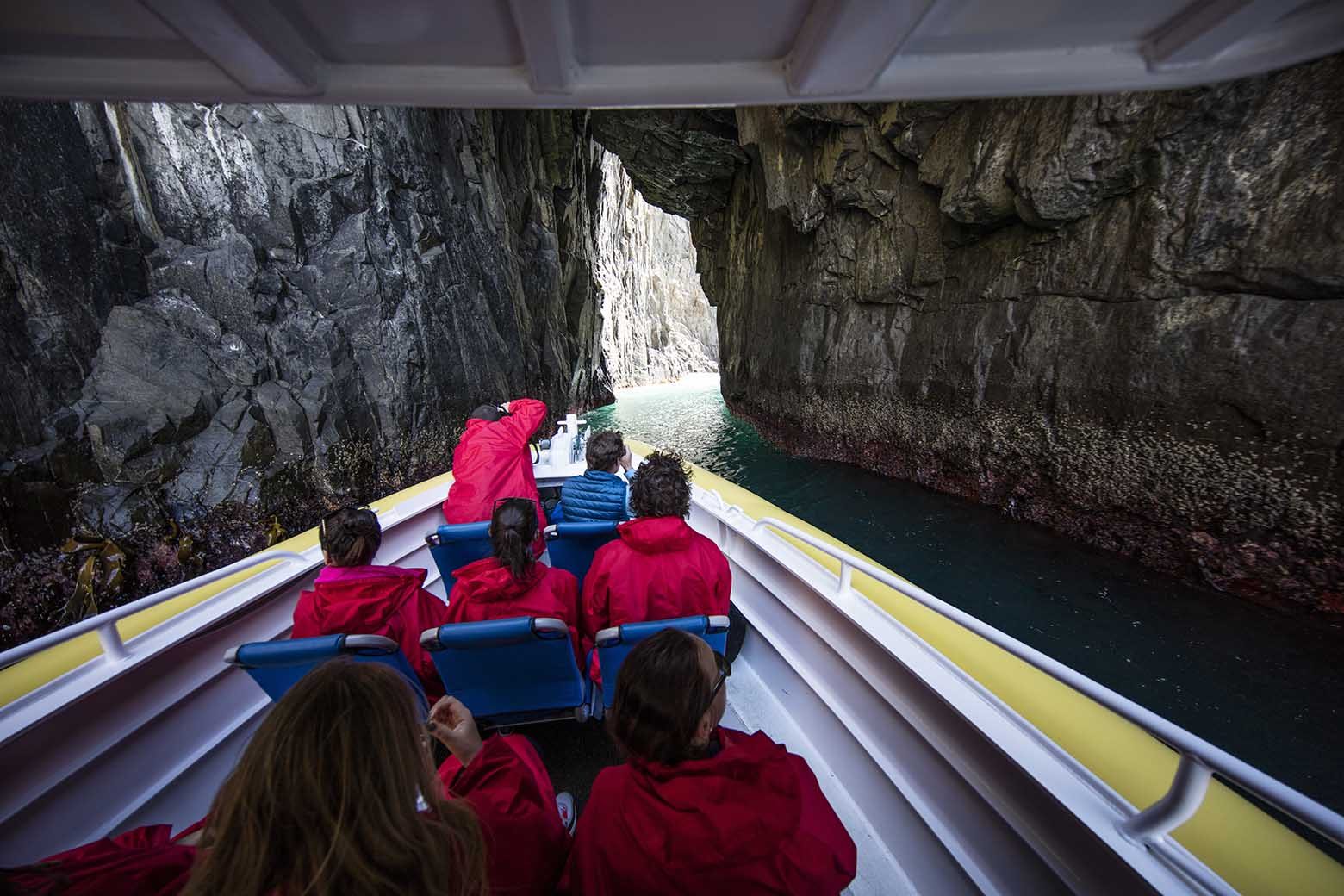 Cruise inside a cave on Bruny Island Tours from Hobart