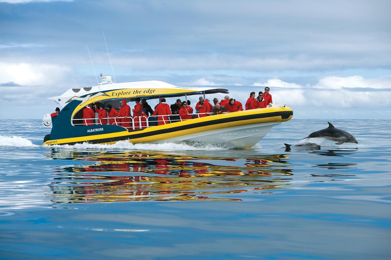 Go on a cruise on Bruny Island Tours from Hobart