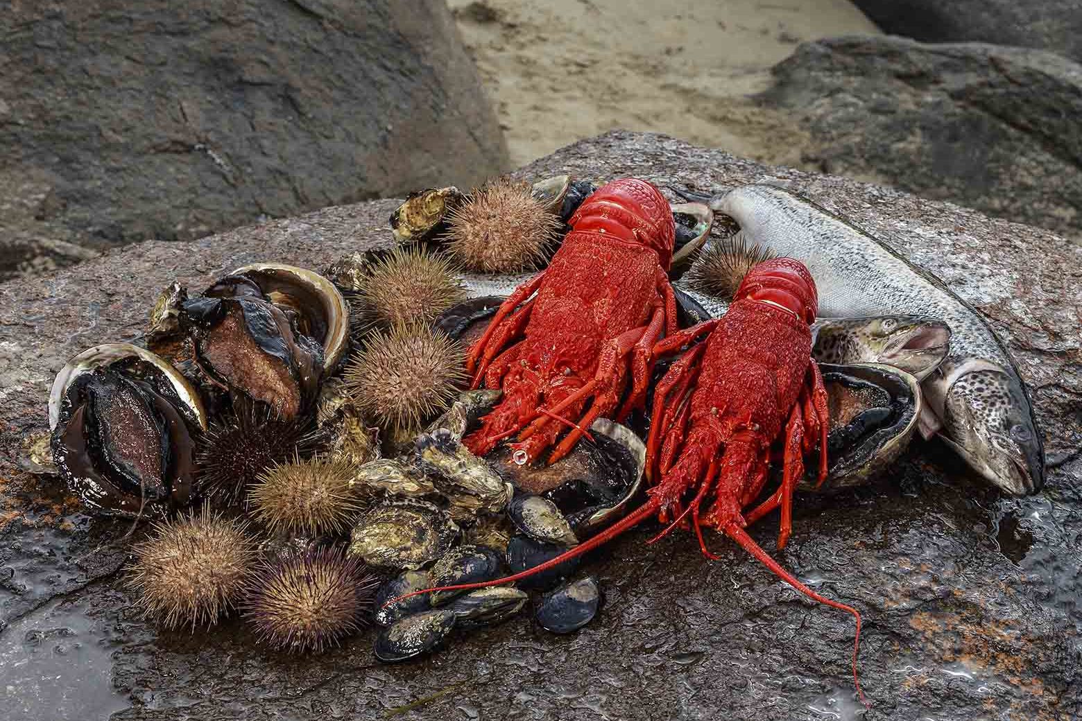 Enjoy fresh seafood on Bruny Island Tours from Hobart