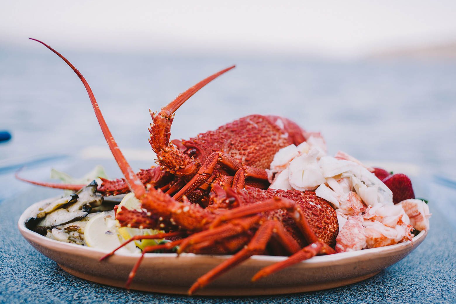 Taste fresh crayfish on Bruny Island Tours from Hobart