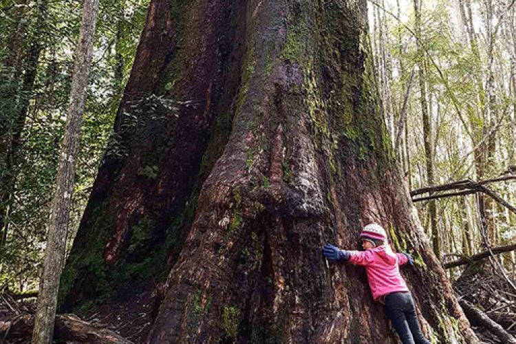 _KB Tasmania Trip Report 19